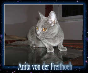 Anita von der Freithoeh