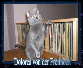 Dolores von der Freithoeh