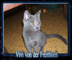 Vivi von der Freithoeh